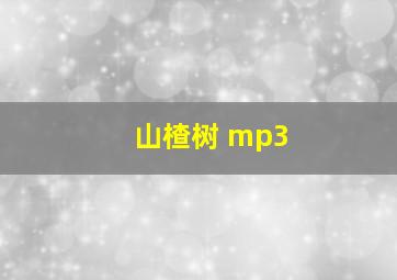 山楂树 mp3